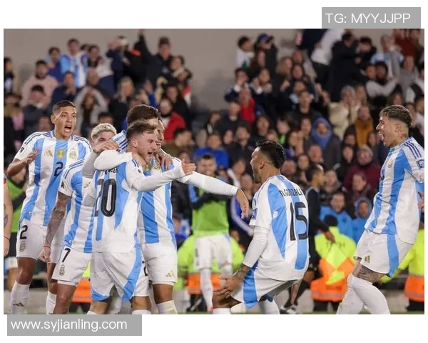 2010年阿根廷与爱尔兰友谊赛回顾精彩瞬间与球员表现分析 2010年阿根廷与爱尔兰友谊赛回顾精彩瞬间与球员表现分析