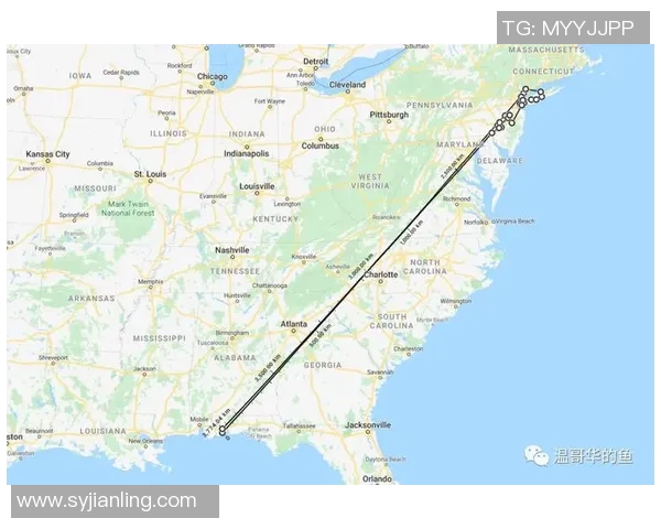 西雅图与波特兰足球队最新排名对比分析及未来展望