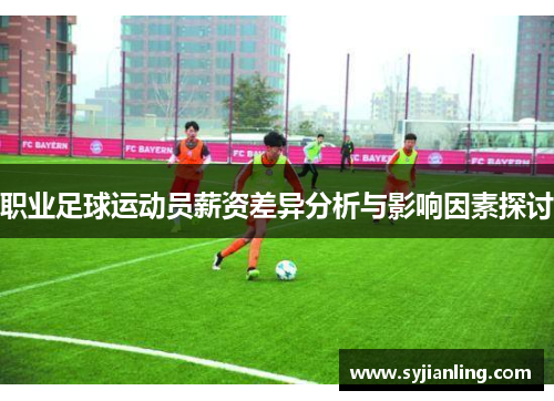 职业足球运动员薪资差异分析与影响因素探讨