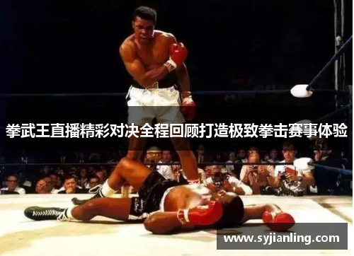 拳武王直播精彩对决全程回顾打造极致拳击赛事体验